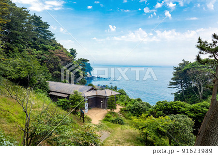 天心ロケセットと五浦海岸 天心ロケセットと五浦海岸 91623989