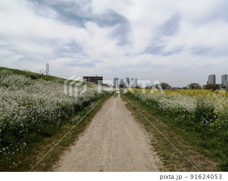 多摩川河川敷　古市場付近 91624053