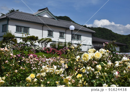 【長野県中野市】一本木公園　信州なかのバラまつり　中野小学校旧校舎 91624438