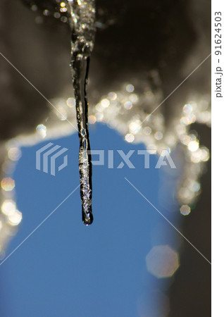 キラキラとした1本のつららと青空 91624503