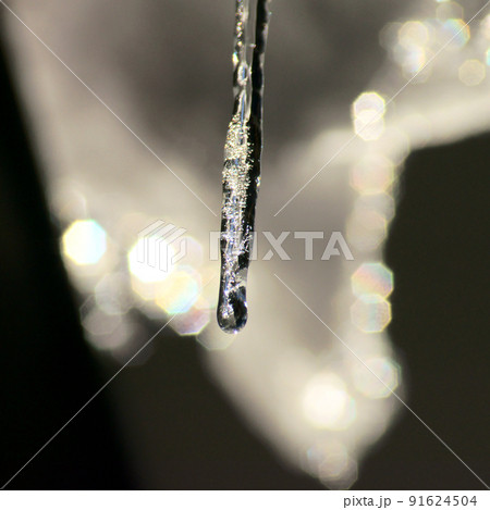 キラキラとした1本のつらら 91624504