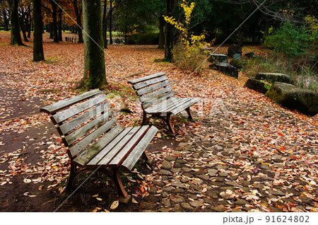 木製ベンチと落ち葉 91624802