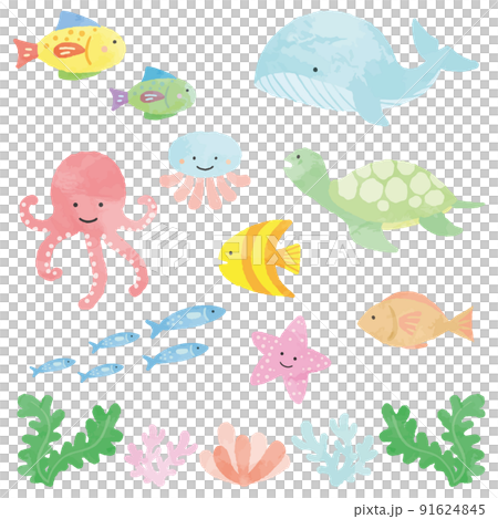 海の生き物セット 91624845