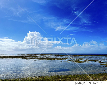 風景画「沖縄西海岸」-