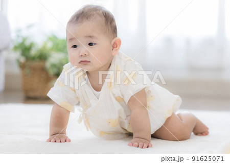生後6カ月の赤ちゃん ポートレート 生後6カ月の赤ちゃん ポートレート 91625071