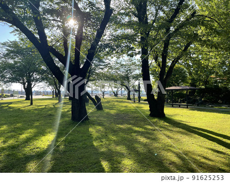 青森県八戸市内丸 三八城公園 青森県八戸市内丸 三八城公園 91625253