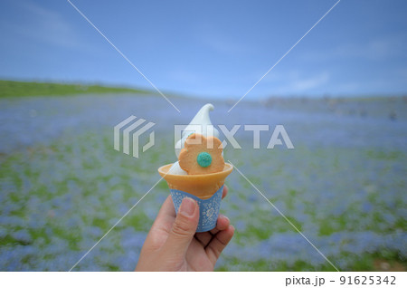 ひたちなかのネモフィラのソフトクリーム ひたちなかのネモフィラのソフトクリーム 91625342