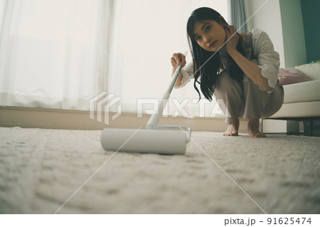 カーペットクリーナー カーペットクリーナー 91625474