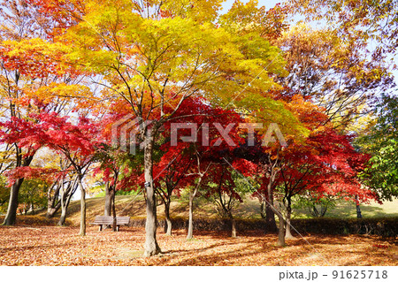 敵 屋外 室外 91625718