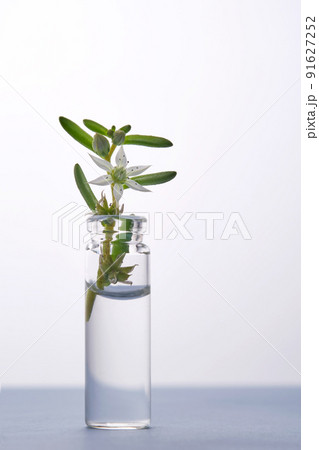 Bottle of water with flower on a light background. It can fit the theme of cosmetics, glass and freshness. Bottle of water with flower on a light background. It can fit the theme of cosmetics, glass and freshness. 91627252