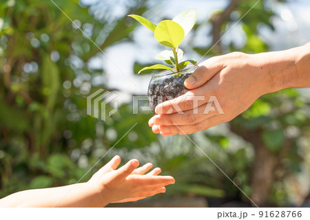 植物の苗を子供へと受け渡す様子 91628766