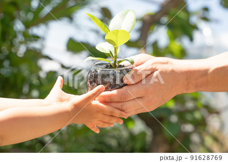 植物の苗を子供へと受け渡す様子 91628769