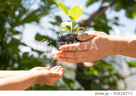 植物の苗を子供へと受け渡す様子 植物の苗を子供へと受け渡す様子 91628771