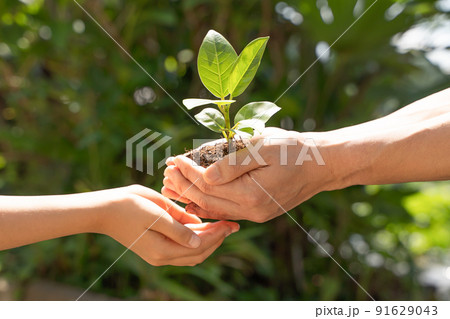 植物の苗を子供へと受け渡す様子 91629043