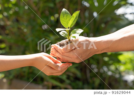 植物の苗を子供へと受け渡す様子 91629044