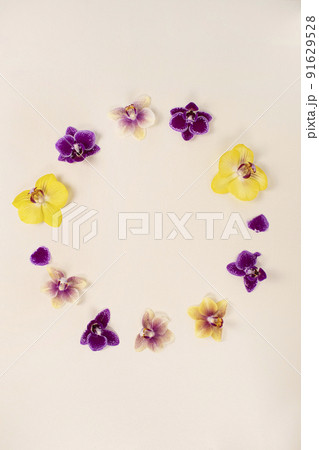 花 花束 ピンク 91629528