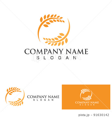 Agriculture Wheat logo template vector icon design 91630142