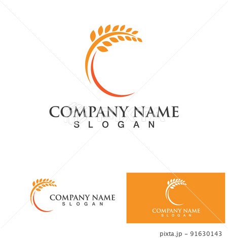 Agriculture Wheat logo template vector icon design 91630143