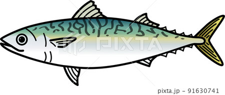 サバ サバ 91630741