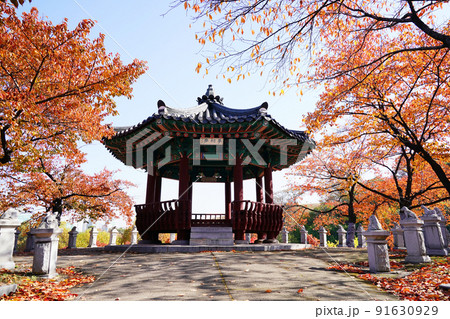 赤色 景色 観光 91630929