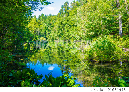 龍が窪の池 91631943