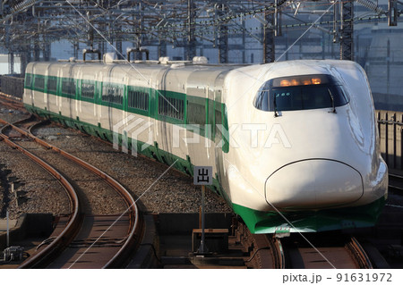 東北・上越新幹線E2系(200系カラー・緑帯車両) 東北・上越新幹線E2系(200系カラー・緑帯車両) 91631972