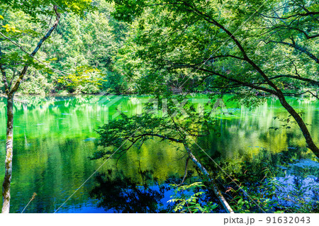 龍が窪の池 91632043