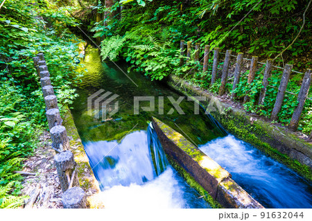 龍が窪 龍が窪 91632044