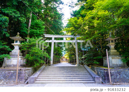 彌彦神社の二の鳥居 彌彦神社の二の鳥居 91633232