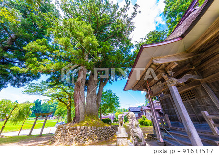 荻ノ島環状かやぶき集落の松尾神社 91633517