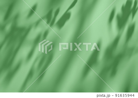 Shadow of leaves on green concrete wall texture background Shadow of leaves on green concrete wall texture background 91635944