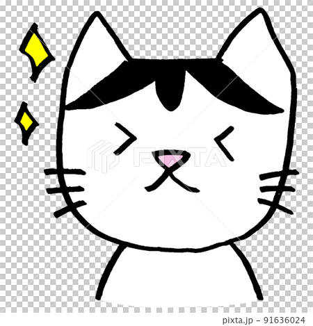 Mame-san，一隻帶有看起來像假髮的圖案的貓，預計ver。 91636024