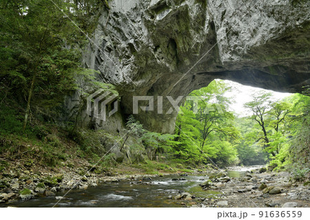 夏の帝釈峡の新緑と雄橋 91636559