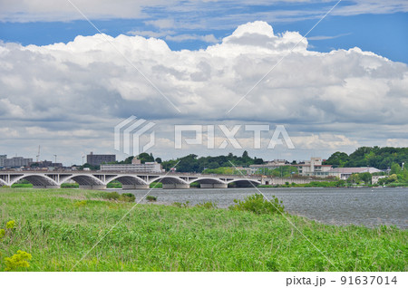 手賀大橋のある風景 91637014