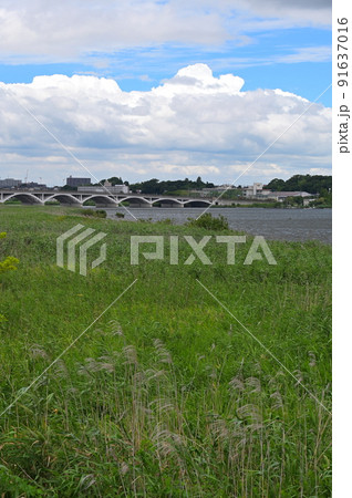 手賀大橋のある風景 91637016