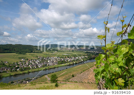 Moselle river close to Traben Trarbach, Germany Moselle river close to Traben Trarbach, Germany 91639410