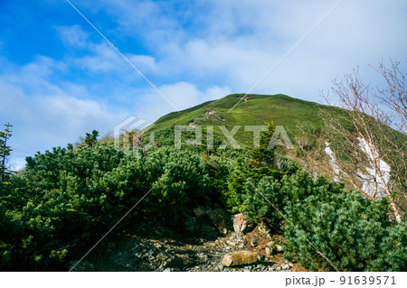 初夏の南アルプス　小仙丈ヶ岳 91639571