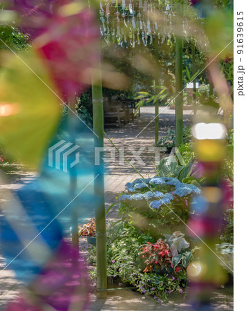 ガーデンの夏風景　風鈴　七夕 91639615