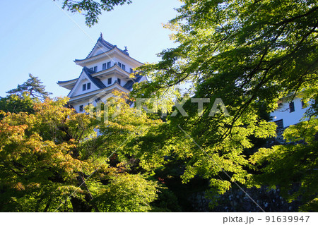 郡上八幡城(岐阜県・郡上市) 郡上八幡城(岐阜県・郡上市) 91639947