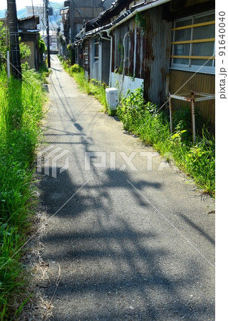 路地裏小道 路地裏小道 91640040