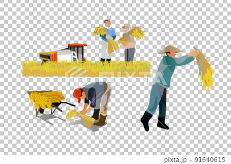 一個美麗的日本山村，有一座古老的民居。人們在秋收的時候努力收割稻穀。它是 91640615