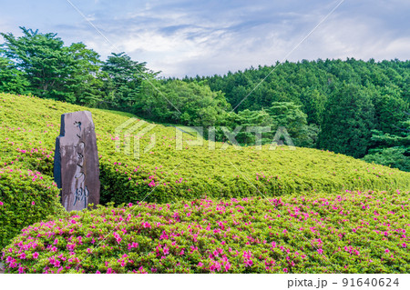 （神奈川県）湯河原　さつきの郷 91640624