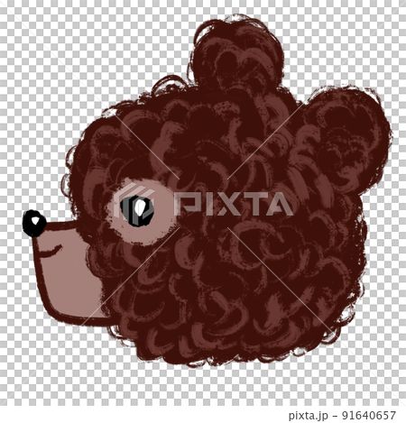 毛茸茸的熊 91640657