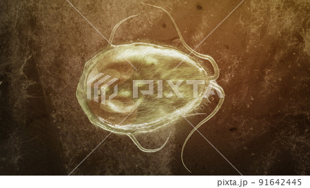 Giardia lamblia parasite as Closup - 3D Rendering Giardia lamblia parasite as Closup - 3D Rendering 91642445