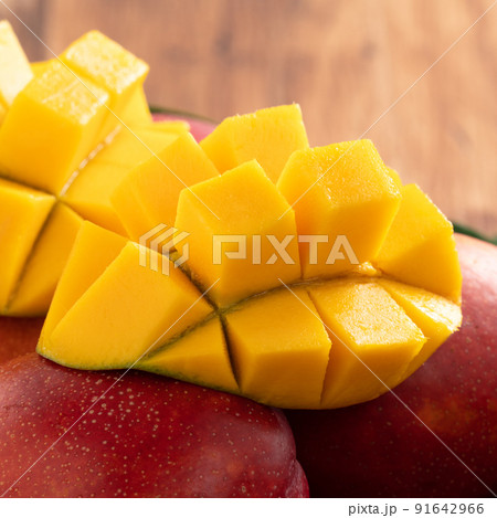 マンゴー マンゴ フルーツ 91642966
