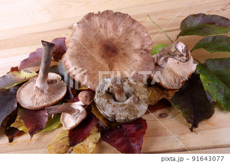 Mushrooms on table Mushrooms on table 91643077