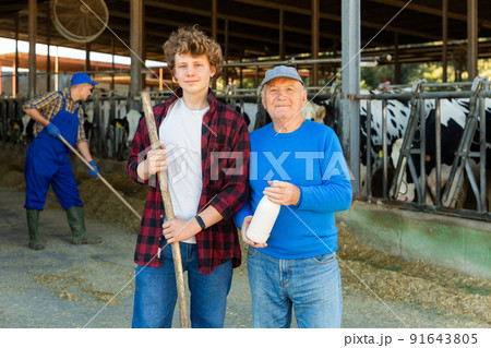 Milk farm workers in cowshed Milk farm workers in cowshed 91643805