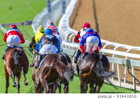 Horse Racing Action 91643850