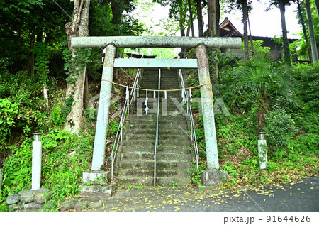 埼玉県秩父市下吉田　椋(むく)神社 91644626