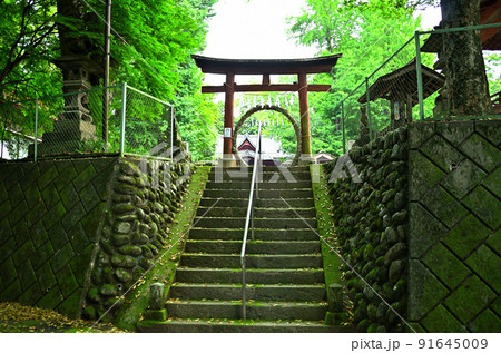埼玉県秩父市下吉田　椋(むく)神社 91645009